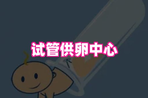 swisee孕网 2