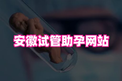 swisee孕网 3